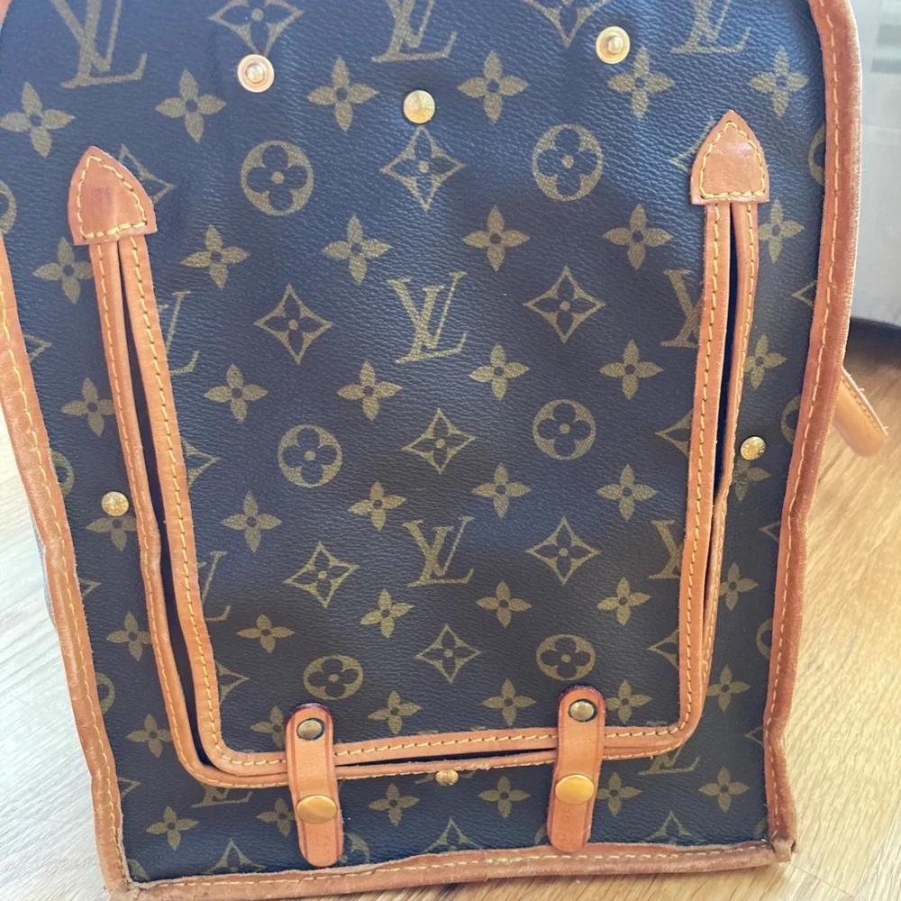 Louis Vuitton Small Dog Carrier